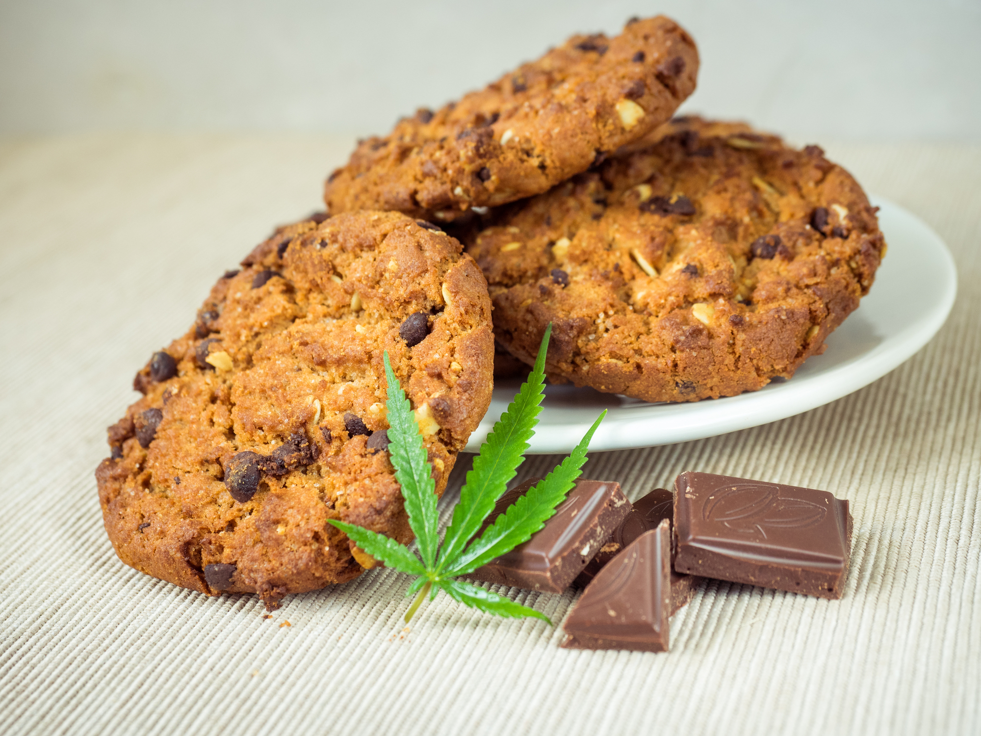 Delicious homemade Chocolate chip Cookies with CBD cannabis and